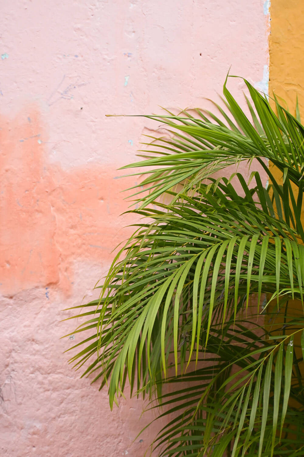 Cartagena Colombia travel guide with Zuahaza
