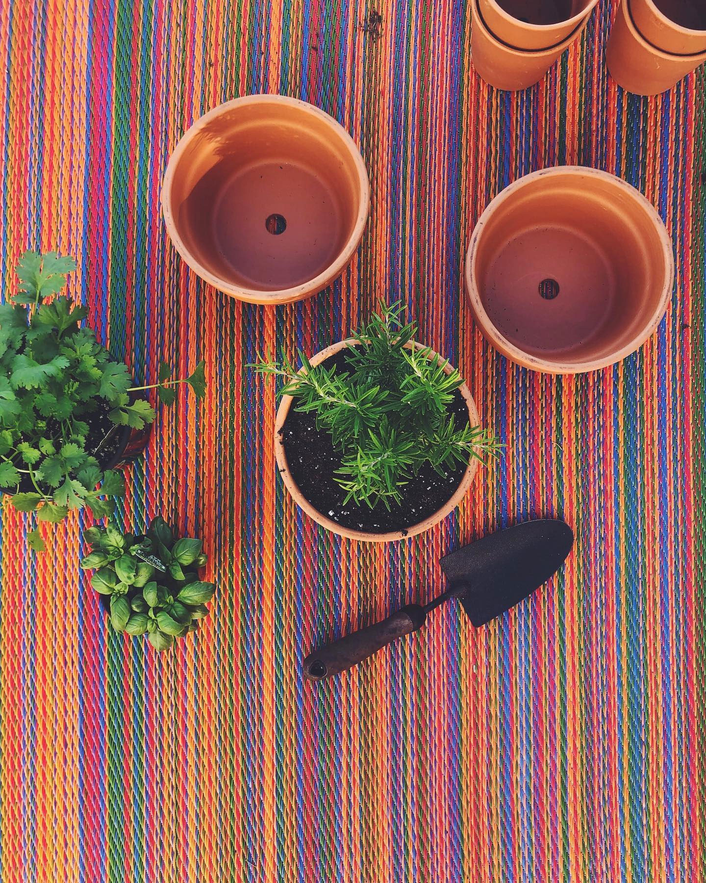 Fab Habitat pink and orange eco friendly rug by @megmanion