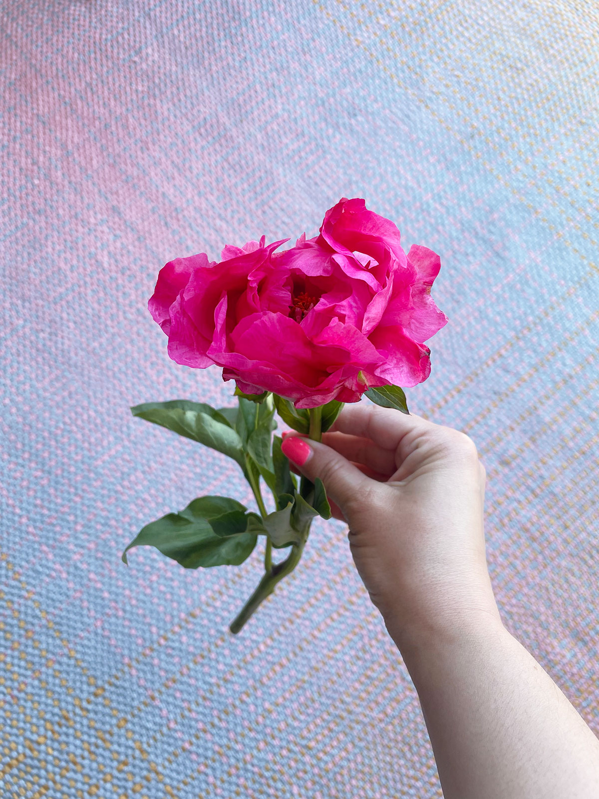 revival horseshoe ombre recycled outdoor rug with peony